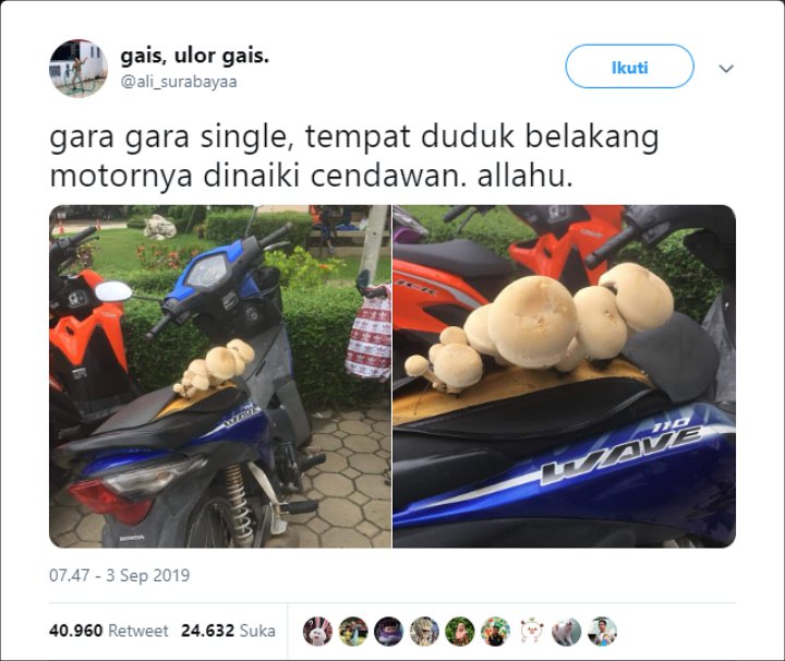 Cuitan Jok Jomblo