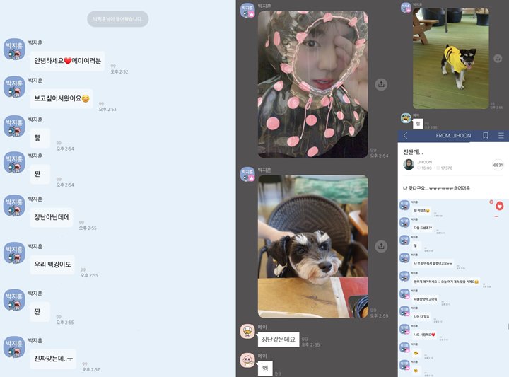 Lucunya Park Jihoon Menyusup ke Grup Chat Fans Malah Dituduh Penipu