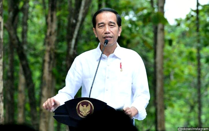 Jokowi Minta Birokrat Dan Politisi Tak Jadi Dewan Pengawas KPK