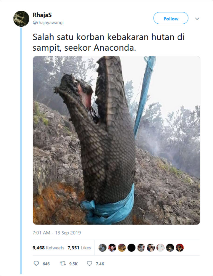 rhajayawangi