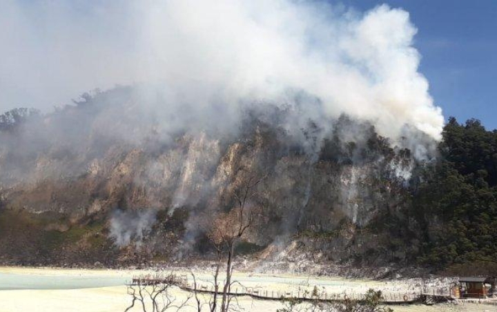 Kawasan Wisata Kawah Putih Bandung Kebakaran, 15 Hektare Lahan Ludes