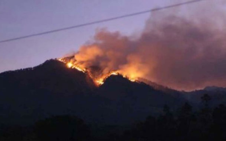 Kebakaran di Gunung Arjuno Tak Kunjung Padam, Khofifah Minta BNPB Turun Tangan