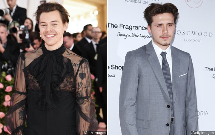 Harry Styles Hingga Brooklyn Beckham Jadi Pria Jomblo Paling Diminati Tahun 2019