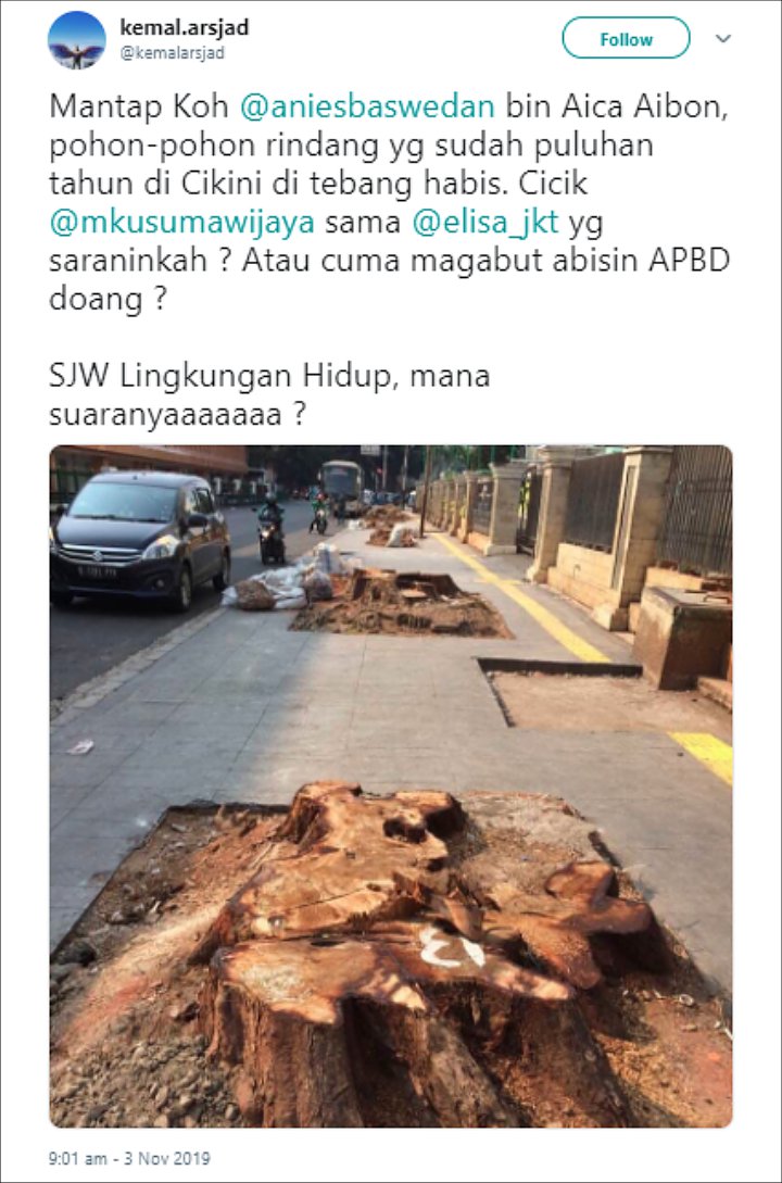 Penebangan Pohon
