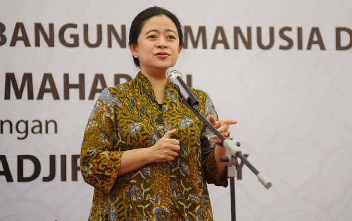 Soal 'Renggangnya' Hubungan Surya Paloh-Megawati, Ini Kata Puan
