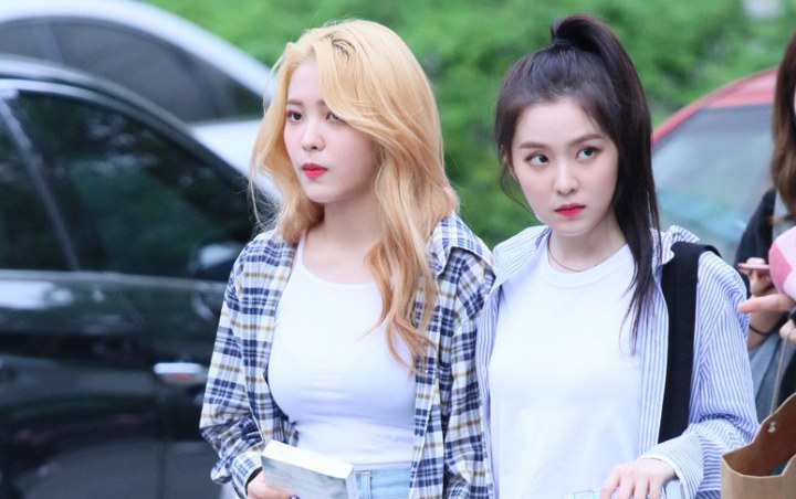 Irene Red Velvet Unggah Foto Cantik, Komentar Yeri Bikin Fans Gemas