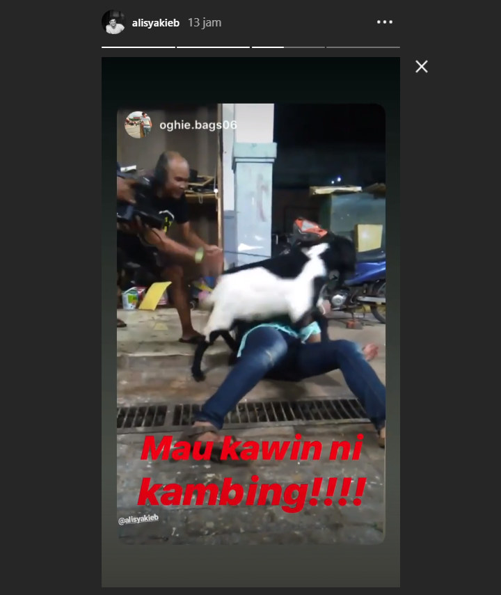 Candaan Ali Syakieb