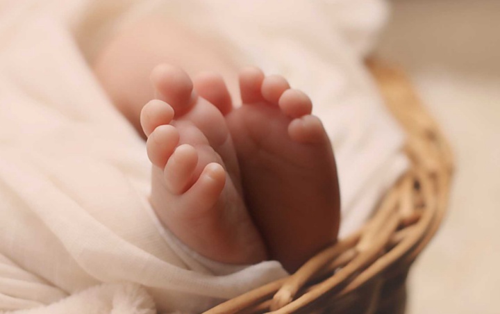 Pengamat Kritik Program JKN Atas Kasus Ojol Bawa Paksa Jenazah Bayi