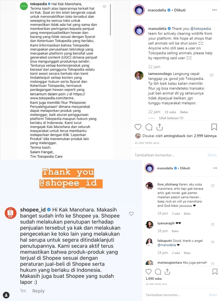 Manohara Kembali Tegur E-Commerce Ternama Yang Masih Izinkan Penjualan Satwa Liar