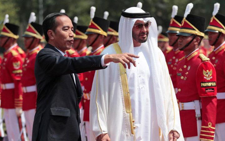 Bangun Ibu Kota Baru, Jokowi Minta Putra Mahkota UEA Jadi Dewan Pengarah 