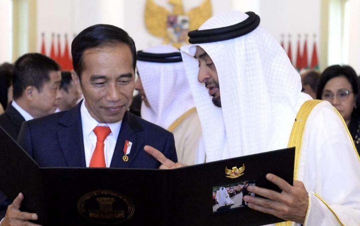 Jadikan Dewan Pengarah Pembangunan, Jokowi Akui Tak Sanggup Gaji Putra Mahkota UEA