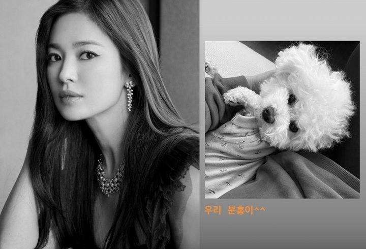 Song Hye Kyo Didoakan Bahagia dan Cepat Move On Usai Posting Ini Sambut Imlek