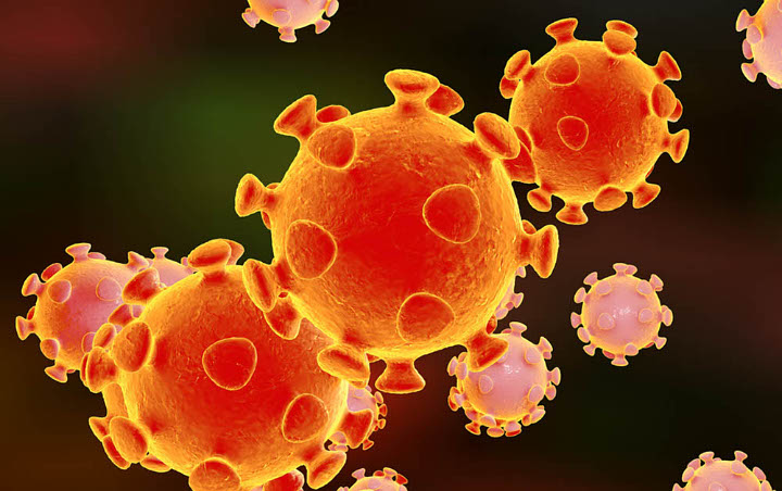 Virus Corona Disebut Tak Tahan Panas, Mitos Atau Fakta?