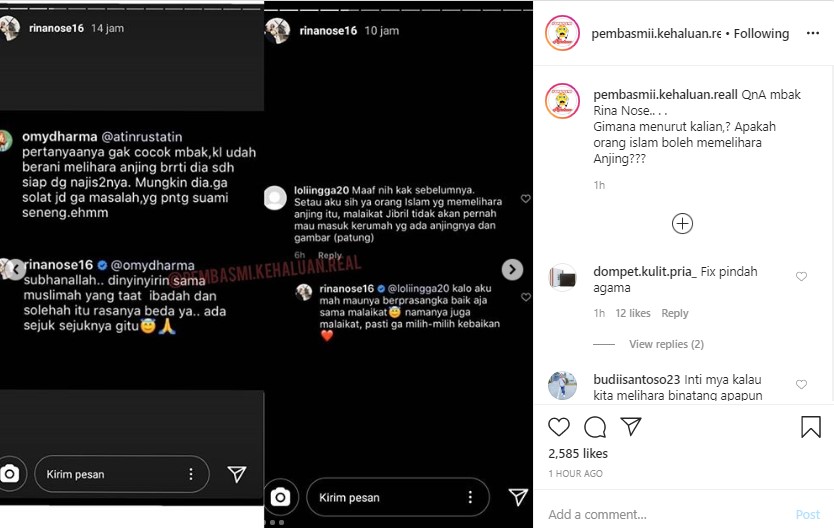 Rina Nose Balas Menohok Saat Ditegur Netizen Karena Pelihara Anjing