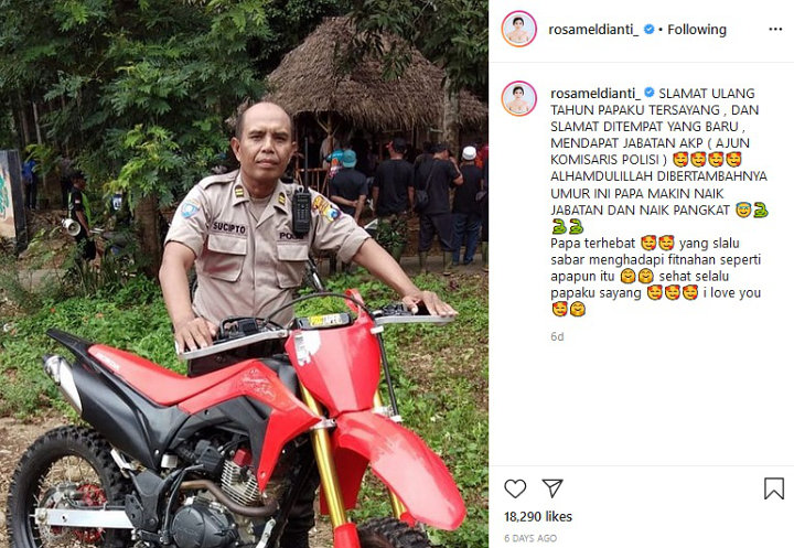 Meldi