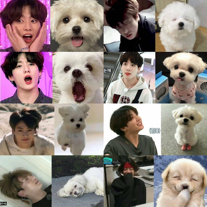 Jungkook BTS Jadi Bahan Gosip Saking Imutnya