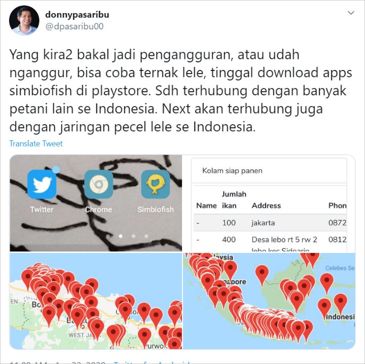 Marak PHK Gegara Corona Bikin Bisnis Ternak Lele Makin Diminati, Aplikasi ini Jadi \'Penyelamat\'