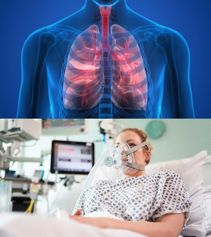 Oksigen Paru-paru