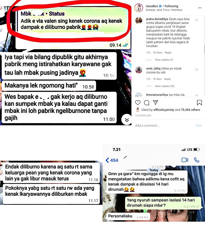 Adik Via Vallen