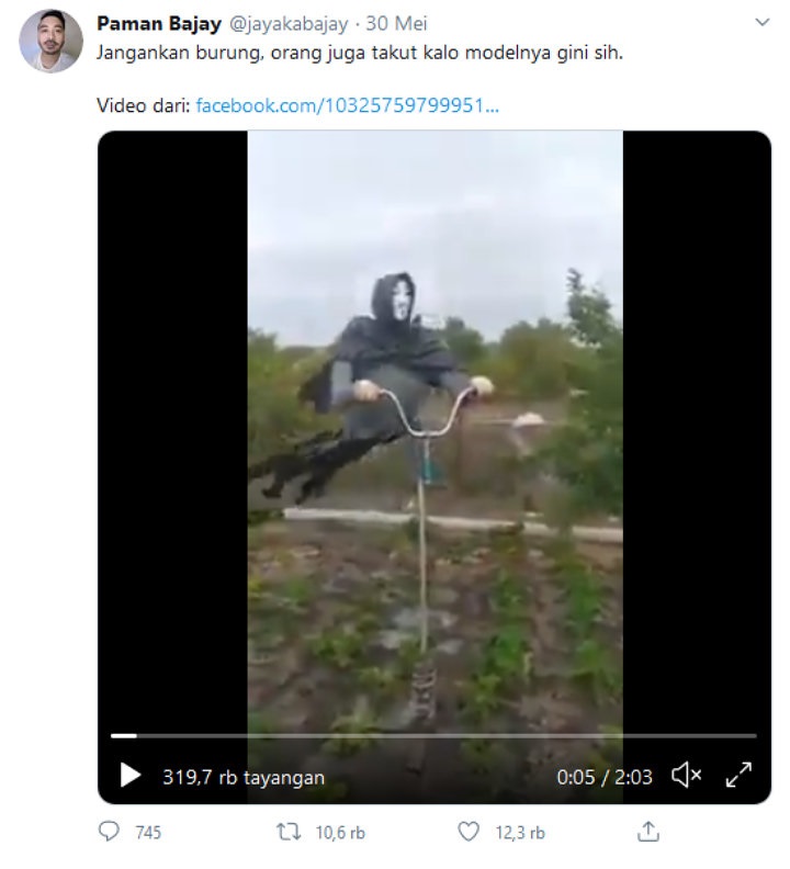 Bikin Takut Warga, Viral Orang-Orangan Sawah Mengerikan Mirip Dementor di Film \'Harry Potter\'