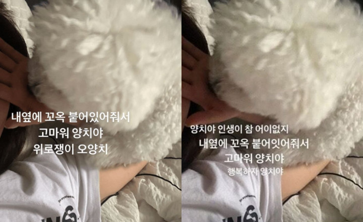 Absen Comeback DIA, Postingan Terbaru Jung Chae Yeon Mencurigakan