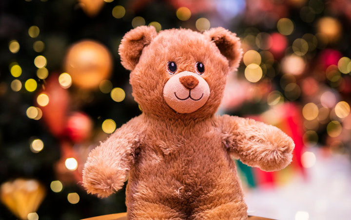 Polisi Belanda Wajib Bawa Boneka Teddy Bear Saat Patroli, Untuk Apa?