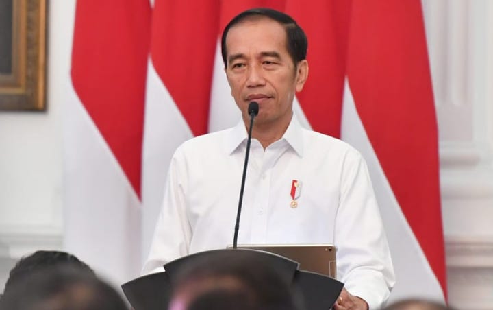 Jokowi Targetkan Emisi Gas Rumah Kaca Turun 26 Persen, Ingatkan Ancaman Karhutla