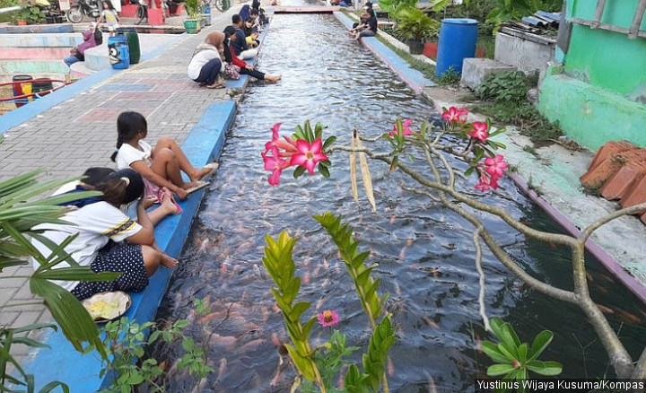 Bikin Takjub, Pria Ini Sulap Saluran Irigasi Penuh Sampah Jadi Kolam Ikan Nila Hingga Koi