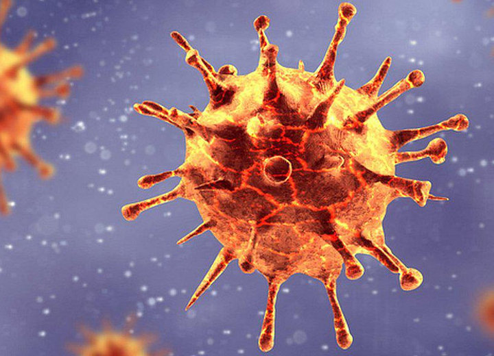 Virus Corona