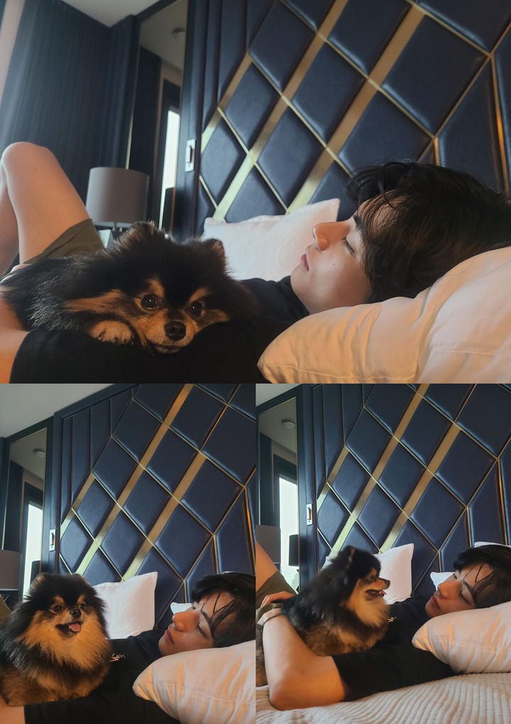 V BTS Tebar Foto Rebahan Ganteng Bareng Kesayangan Hasil Jepretan Ibunda 1