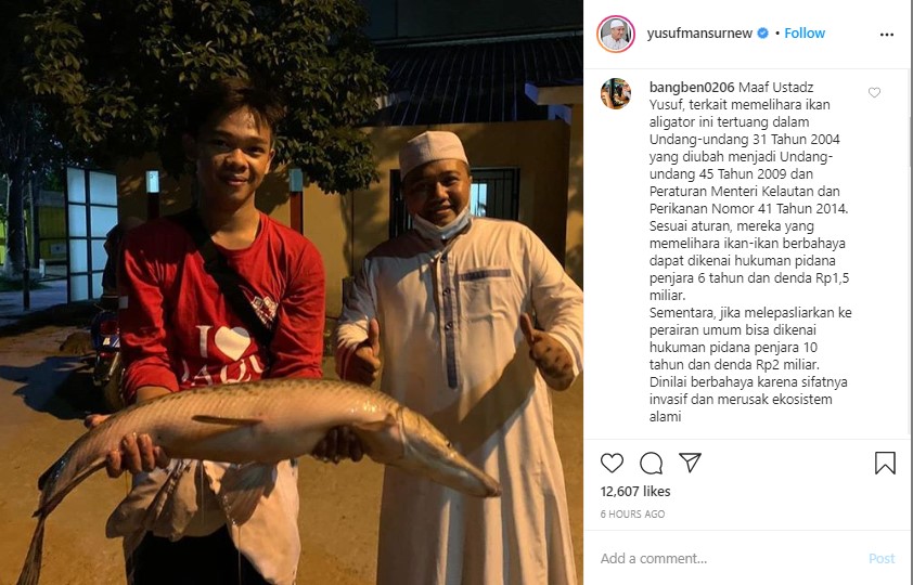 Ustaz Yusuf Mansur Diperingatkan Bisa Kena Pidana Gara-gara Pelihara Ikan Aligator