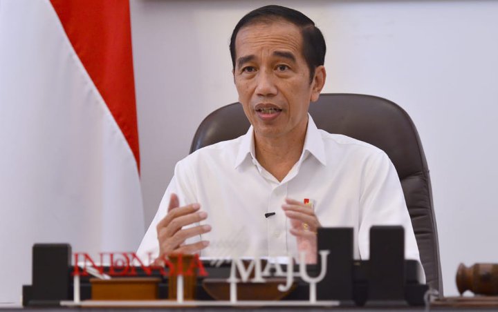Jokowi 'Sumringah' Kawasan Pantura Mampu Saingi Tiongkok, Soal Apa?