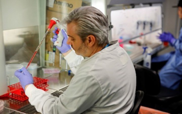 Argentina Mulai Uji Coba Vaksin COVID-19 Dari Antibodi Kuda