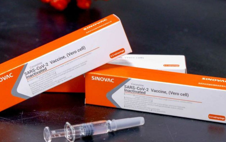 Peneliti Ungkap Reaksi 21 Relawan Yang Sudah Disuntik Vaksin Corona Sinovac