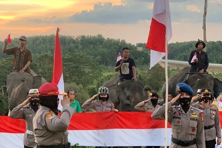 Begini Potret Nasionalisme RI, Rela Gelar Upacara di Jalan Raya Sampai Gajah Ikut Hormat Bendera-2
