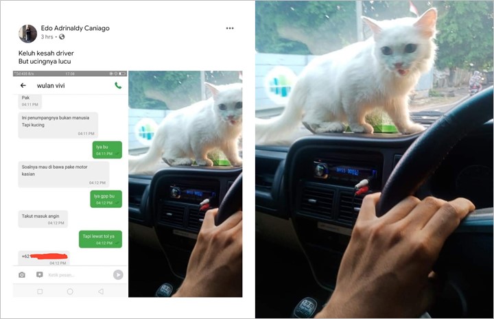 Kocak dan Bikin Gemas, Driver Taksi Online ini Dapat Order Tamu \'Istimewa\' Berkaki Empat