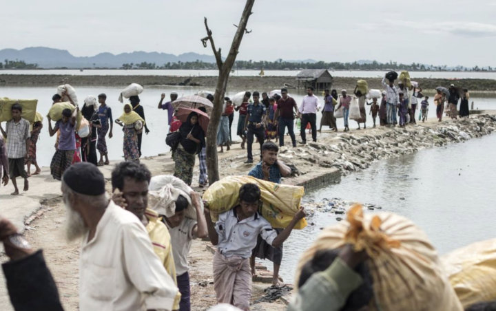 UNHCR Sebut Puluhan Pengungsi Rohingya Meninggal di Laut Karena Tak Diizinkan Mendarat