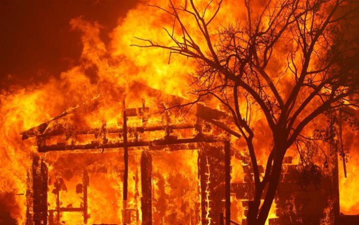 Kebakaran Hutan di AS Disebut Bikin Warga Rentan Corona 