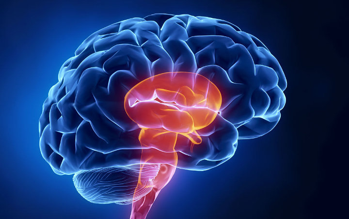 Waspada! Peneliti Temukan Kemungkinan COVID-19 Serang Otak Manusia