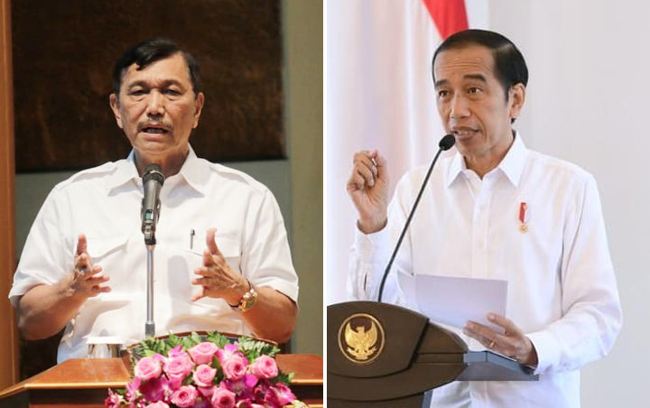 Istana Ungkap Alasan Jokowi Perintah Luhut Tekan Corona Dalam Waktu 2 Pekan