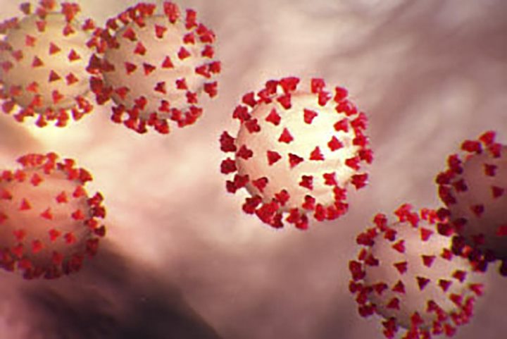 Virus Corona