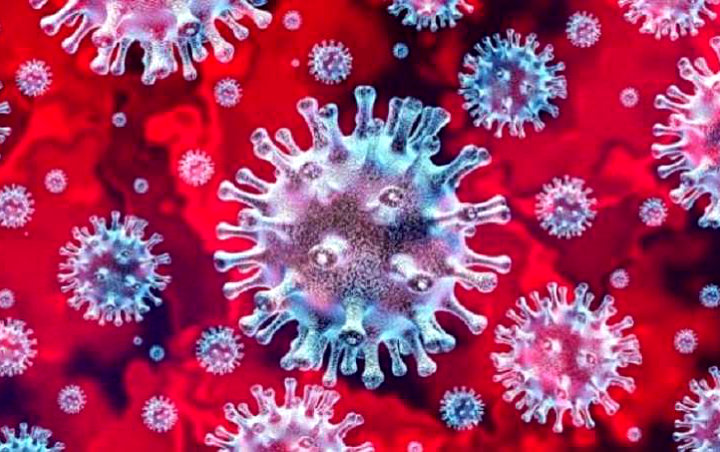 Virus Corona