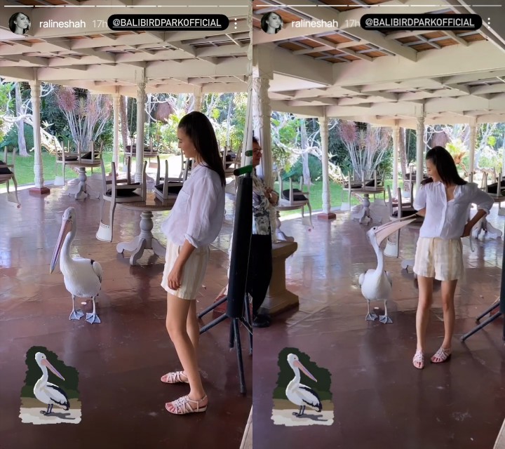 Jadi \'Anak Hutan\' Sejak Kecil, Raline Shah Nyaman Berinetarksi dengan Hewan-hewan Ini