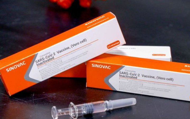 Vaksin Corona Sinovac Bisa Untuk Anak Usia 3 Tahun, Ini Penjelasannya