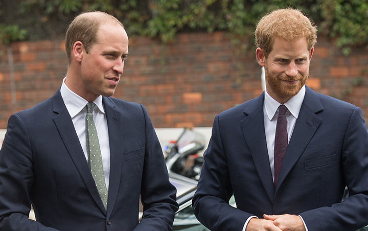 Pakar Kerajaan Ungkap Pangeran William Cemburu pada Popularitas Harry 
