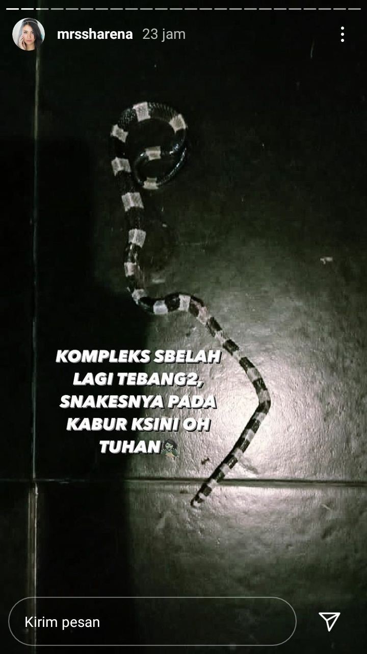Sharena Akui Stres Saat Rumahnya Hampir Dimasuki Ular Berbisa