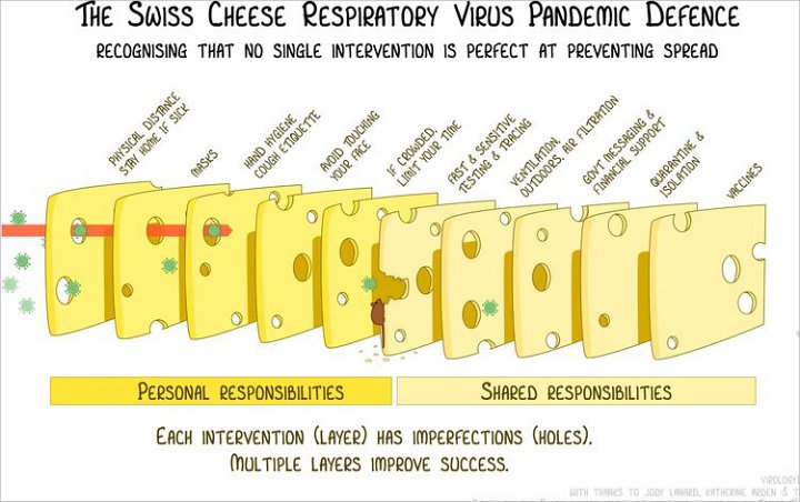 Sejumlah Negara Terapkan 'Swiss Cheese Model' Untuk Tekan COVID-19, Apa Itu?