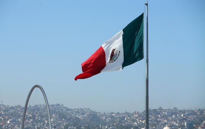 Meksiko Temukan 59 Jasad di Kuburan Massal Rahasia, Terkait Perang Kartel Narkoba?