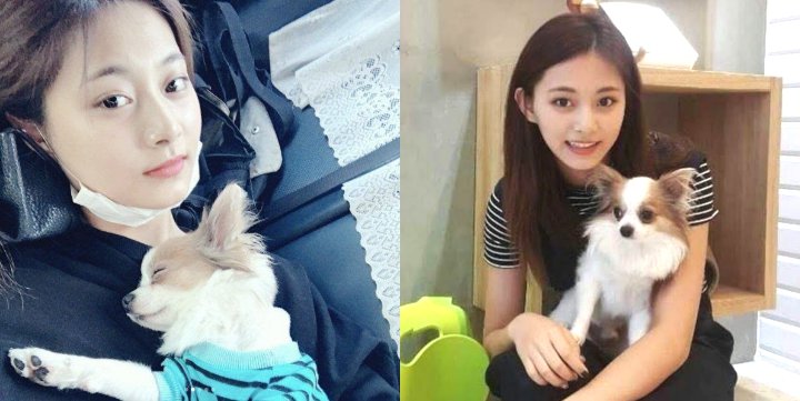 Tzuyu TWICE Banjir Pujian Usai Tunjukkan Kecintaan pada Binatang dengan Lakukan Ini