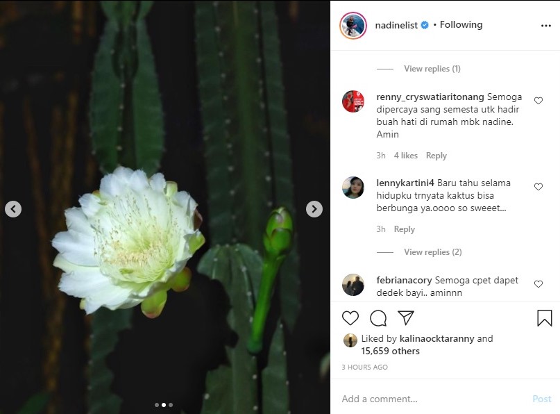 Nadine Chandrawinata Bagikan Kebahagian Soal Kaktusnya Yang Berbunga Sambil Ngode, Netter Ikut Doa